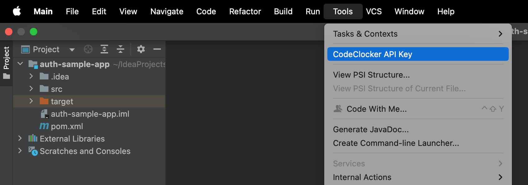 CodeClocker API Key configuration